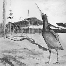 10. <i>Oystercatcher</i>, charcoal, 12"x13", unframed.