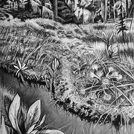 7. <i>Muskeg</i>, charcoal, 17"x13", unframed.