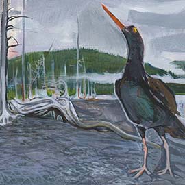 8. <i>Oystercatcher I</i>, gouache, 9"x12", unframed.