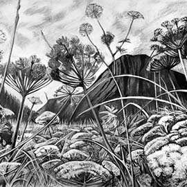 7. <i>The Field</i>, charcoal, unframed.