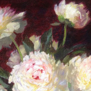 Louise M. Angell (1858 – 1949), White Peonies, oil on canvas 16” x 20”, SLL and Verso