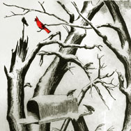 Grace Albee (1890 – 1995), Post Box, Wood Engraving 4” x 3”