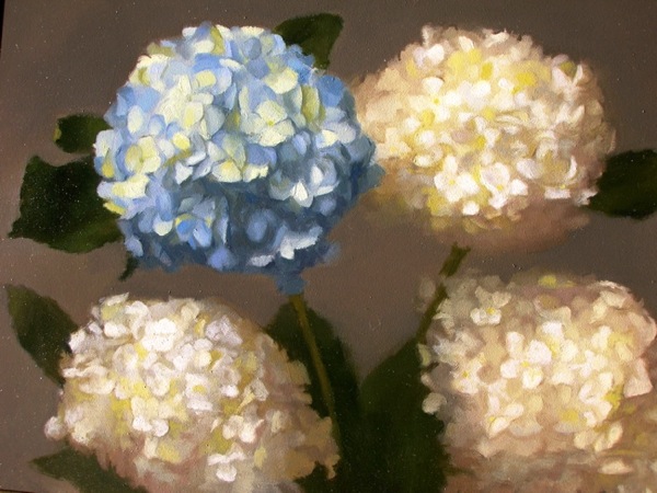 10. Spring Hydrangea, Oil on Panel, 12" x 16"