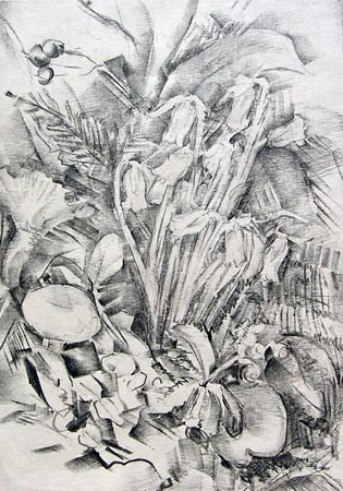 8. The Forest Nuns, Pencil Drawing for Lithograph Plate 8" x 6"