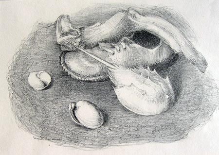 9. Still-Life with Horseshoe Crab, Lithograph 6.5" x 9"